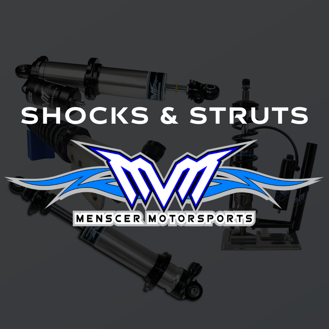 SHOCKS & STRUTS